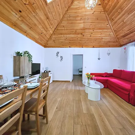 Damas Puerto de la Cruz (Tenerife)