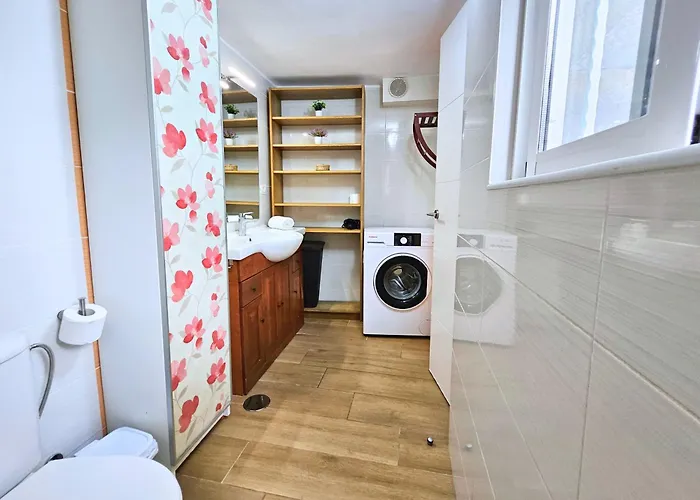 Damas Puerto de la Cruz (Tenerife)