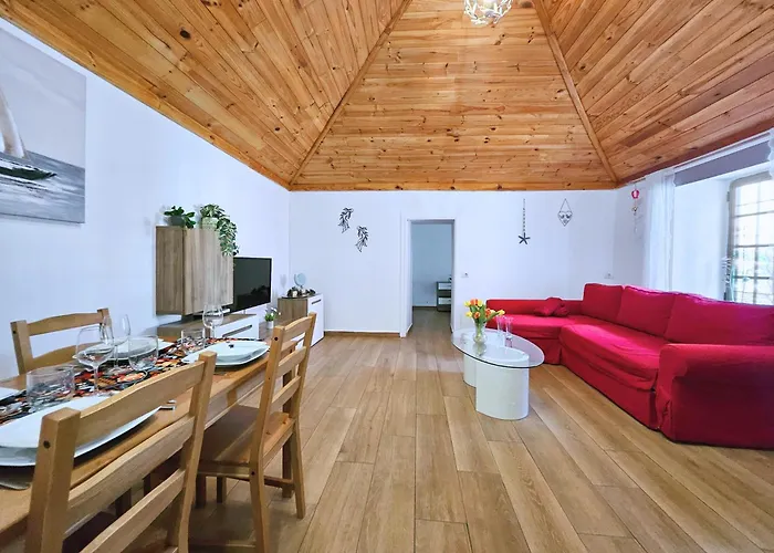 Damas Puerto de la Cruz (Tenerife)